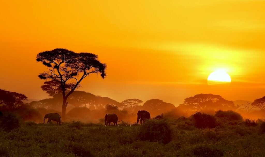 Africa