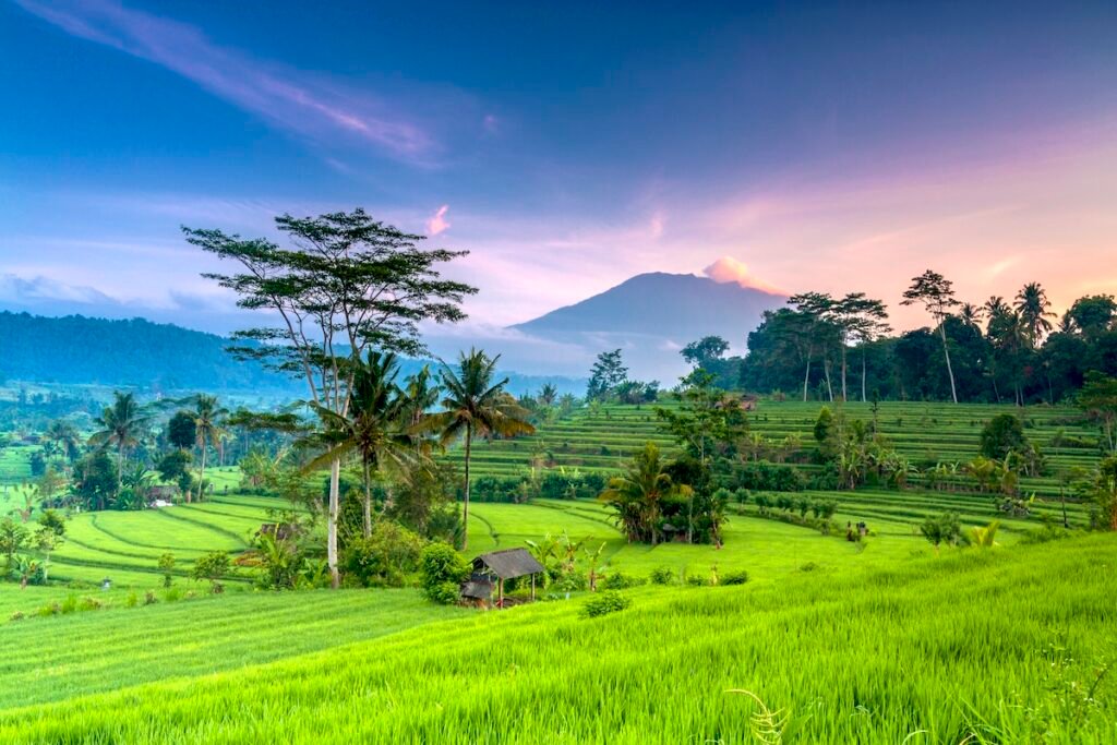 Spectacular morning view of terrace paddy fields in Bali, Indonesia, with the volcano Agung in the backdrop. Secluded Shores & Luxury Retreats: Best Tropical Getaway for You
