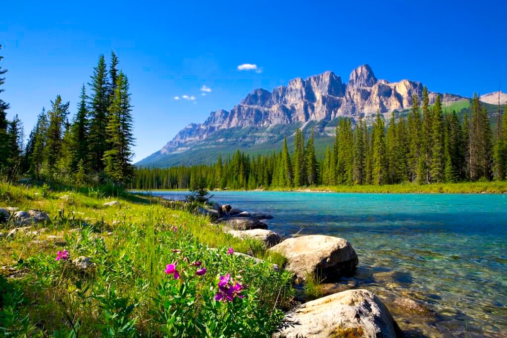 Banff National Park, featuring Castle Mountain and Bow River