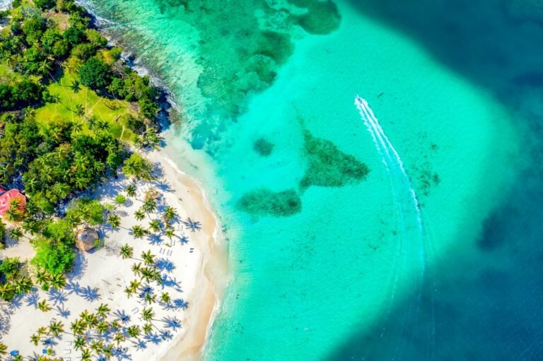 Aerial drone view of beautiful caribbean tropical island Cayo Levantado beach with palms and boat. Bacardi Island, Dominican Republic.