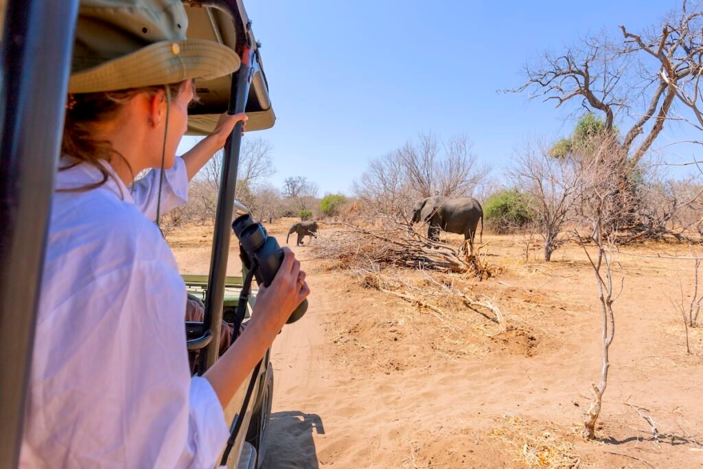 Watching an elephant really close out of a jeep at a safari in Africa