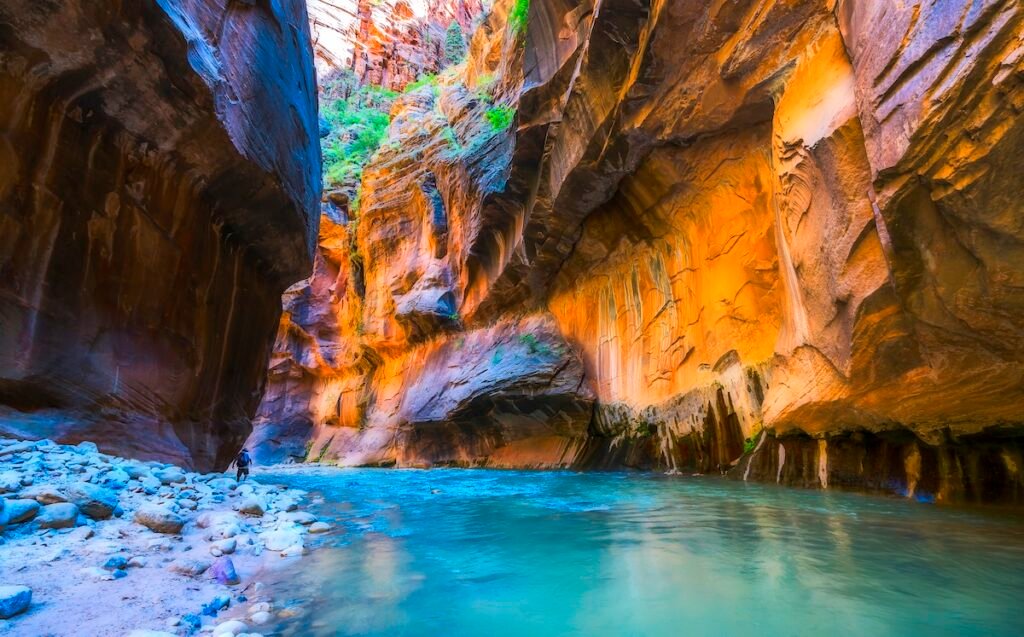 narrow with vergin river in Zion National park,Utah,usa.