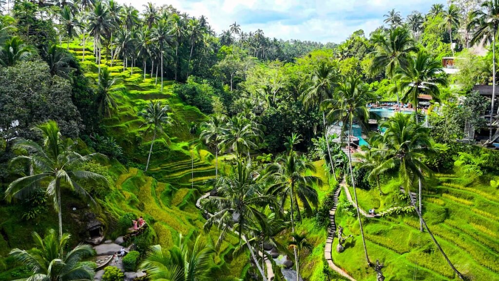 Aerial view of Rice Terrace in Bali Island Indonesia, landscape of mountain rice terraces in the middle of Bali jungle, aerial view of beautiful Tegallalang Rice Terrace surrounded by tropical forest in Indonesia Secluded Shores & Luxury Retreats: Best Tropical Getaway for You