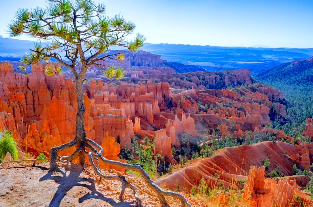 Hoodoos in Bryce Canyon National Park, Utah