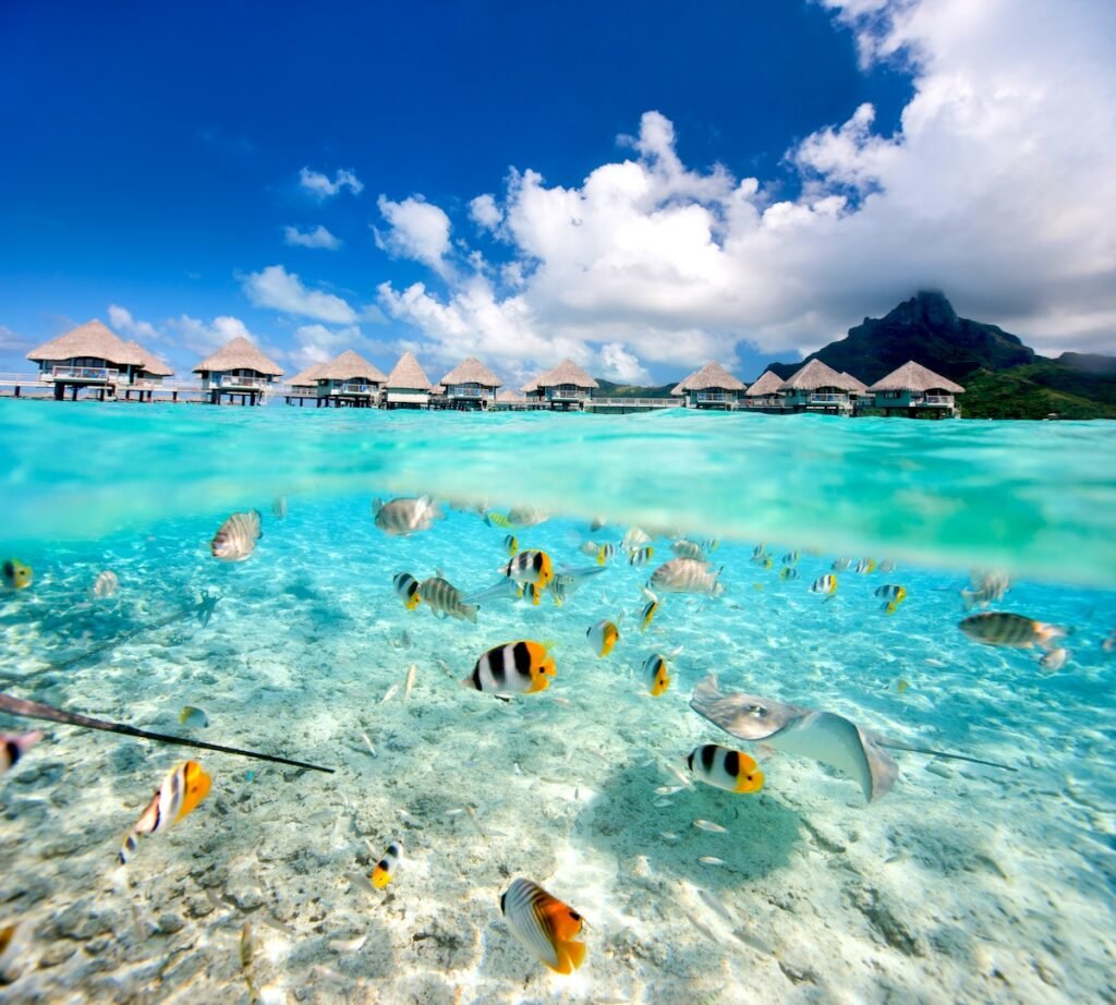 Beautiful tropical island in French Polynesia under and above water