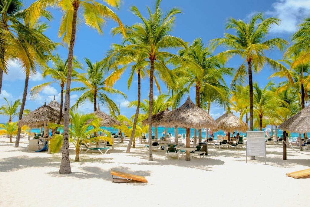 Palm Beach Aruba Caribbean, white long sandy beach with palm trees at Aruba Antilles. hotel aruba, resort
