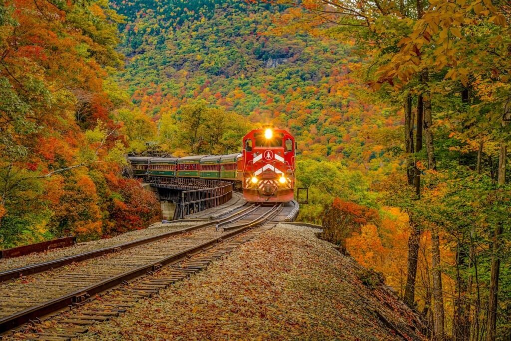 Affordable fall foliage train ride through colorful autumn forest with red and orange leaves