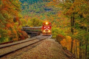 Affordable fall foliage train ride through colorful autumn forest with red and orange leaves