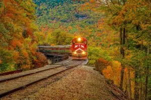 Affordable fall foliage train ride through colorful autumn forest with red and orange leaves