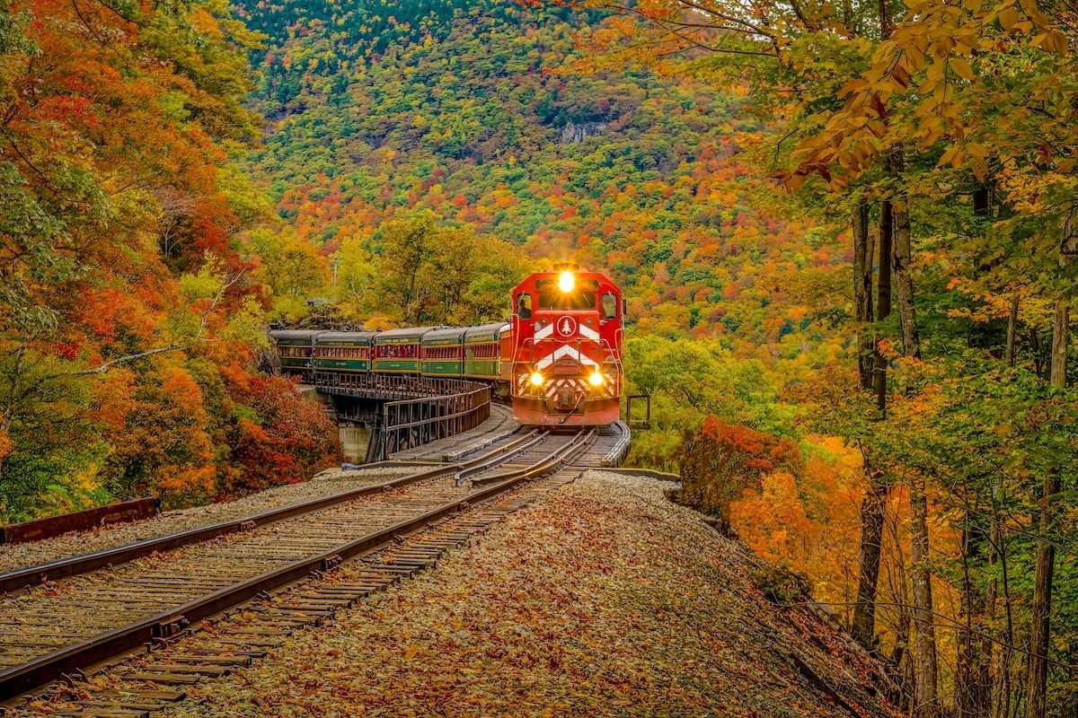 Affordable fall foliage train ride through colorful autumn forest with red and orange leaves